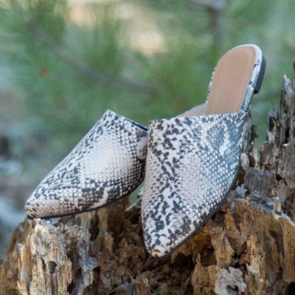 ✨LAST ONE✨SNAKESKIN MULES SLIDES FLATS - Picture 2 of 3